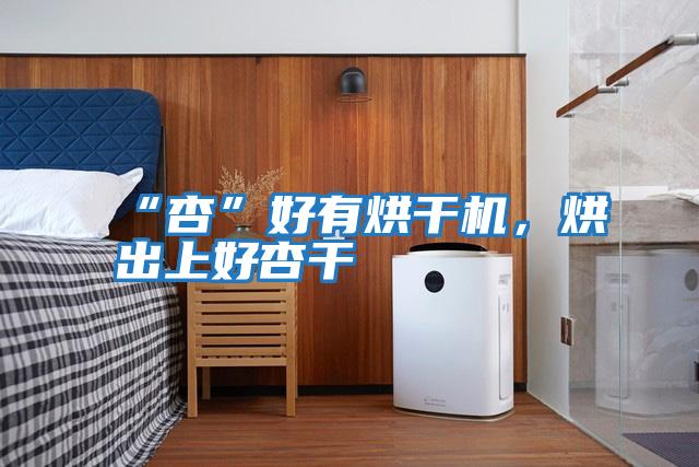 “杏”好有烘干機，烘出上好杏干