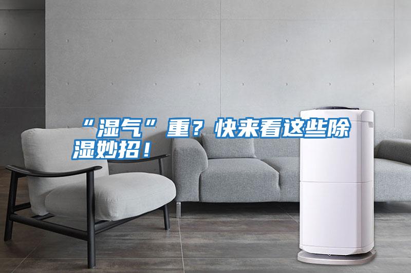 “濕氣”重？快來看這些除濕妙招！