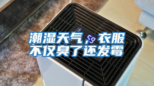 潮濕天氣，衣服不僅臭了還發霉