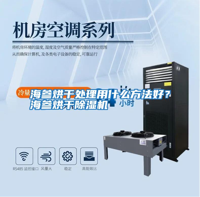 海參烘干處理用什么方法好?海參烘干除濕機(jī)