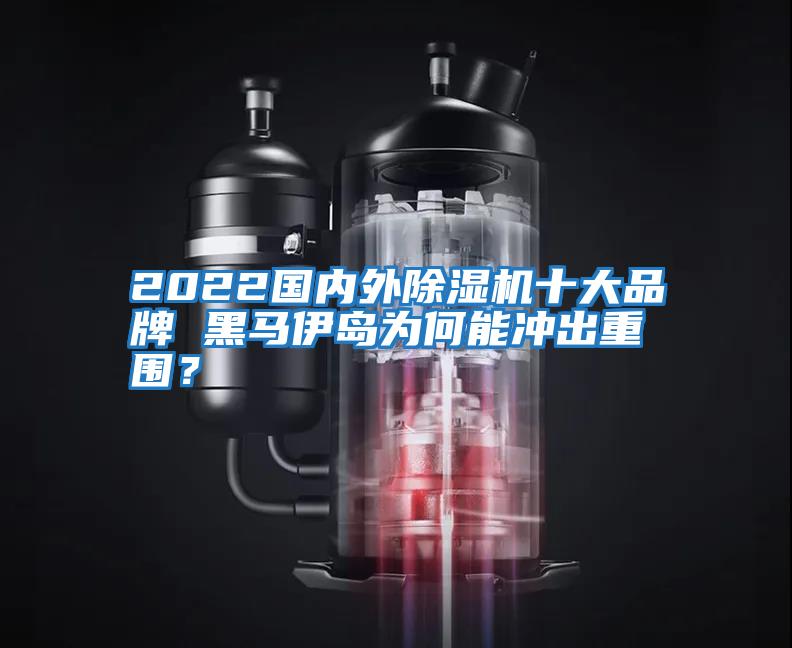 2022國內(nèi)外除濕機(jī)十大品牌 黑馬伊島為何能沖出重圍?