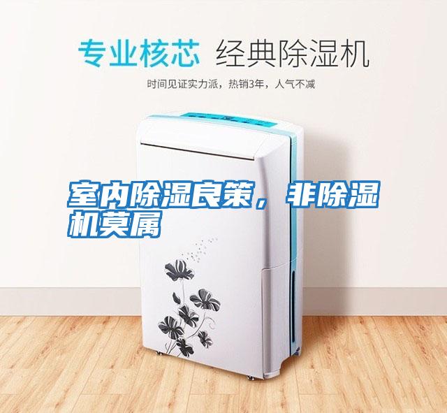 室內除濕良策,非除濕機莫屬