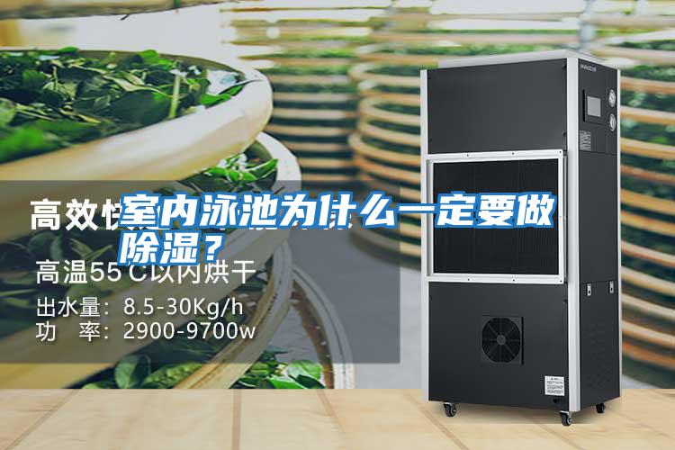 室內泳池為什么一定要做除濕？