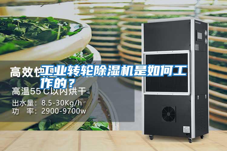 工業轉輪除濕機是如何工作的？