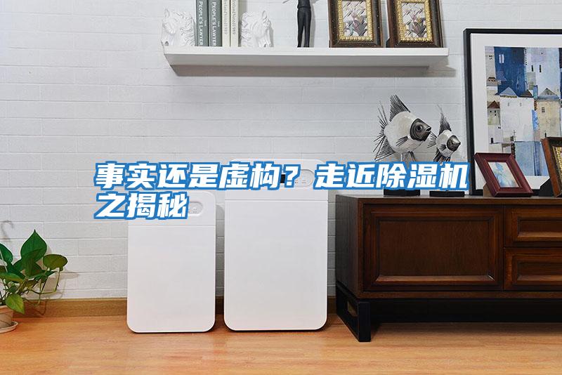 事實還是虛構？走近除濕機之揭秘