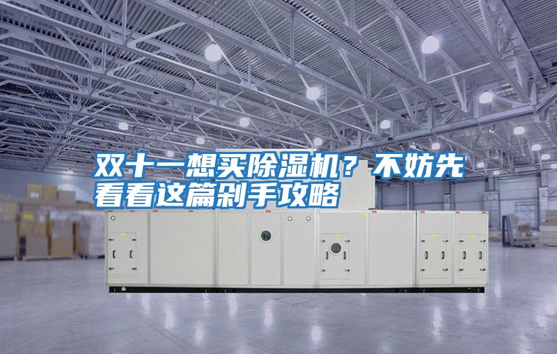 雙十一想買除濕機？不妨先看看這篇剁手攻略