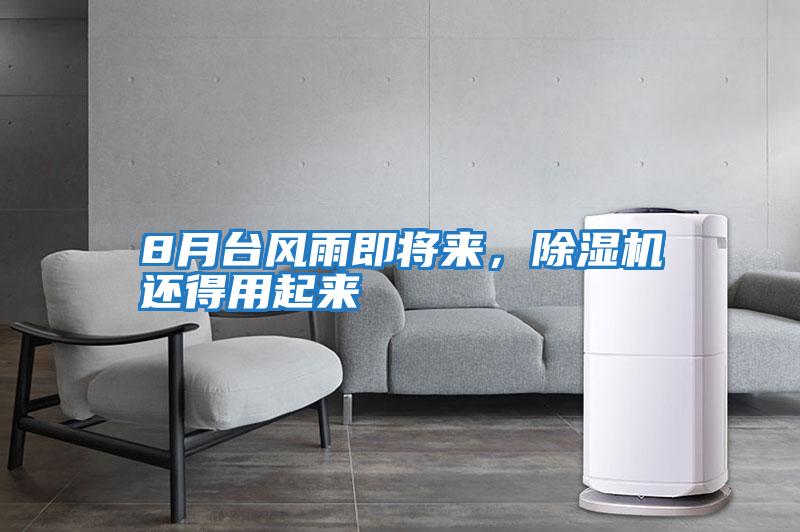 8月臺(tái)風(fēng)雨即將來,除濕機(jī)還得用起來