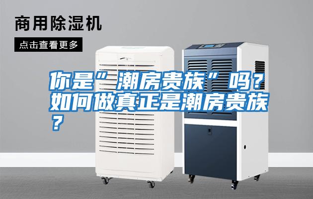 你是”潮房貴族”嗎？如何做真正是潮房貴族？