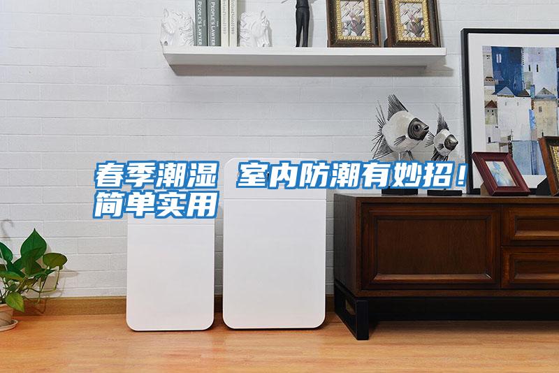 春季潮濕 室內(nèi)防潮有妙招!簡單實(shí)用