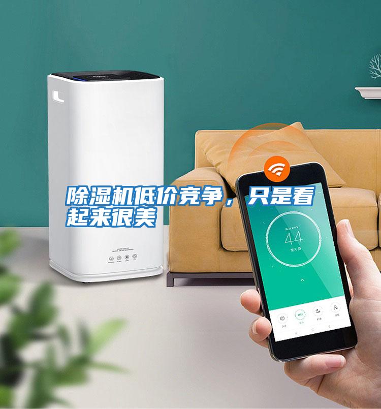 除濕機低價競爭,只是看起來很美