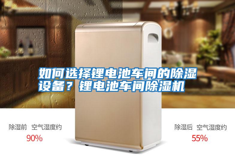 如何選擇鋰電池車(chē)間的除濕設(shè)備？鋰電池車(chē)間除濕機(jī)