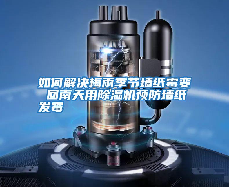 如何解決梅雨季節(jié)墻紙霉變 回南天用除濕機預(yù)防墻紙發(fā)霉