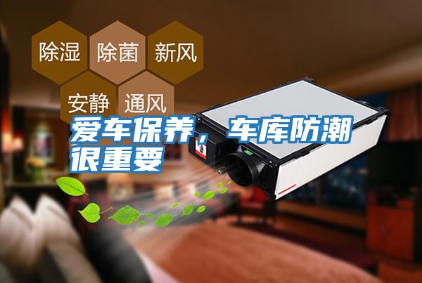 愛車保養，車庫防潮很重要