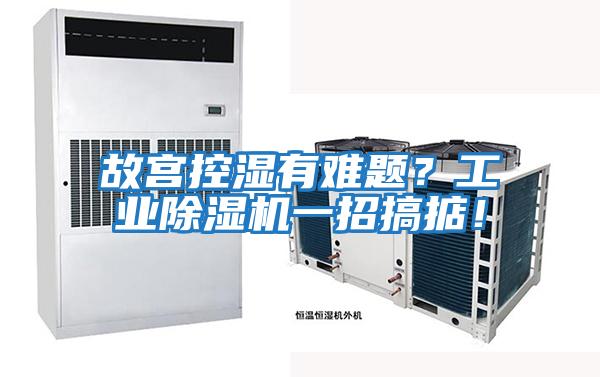 故宮控濕有難題?工業(yè)除濕機(jī)一招搞掂!