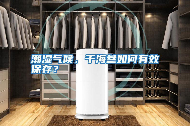 潮濕氣候，干海參如何有效保存？