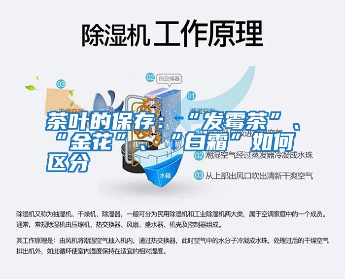 茶葉的保存：“發霉茶”、“金花”、“白霜”如何區分