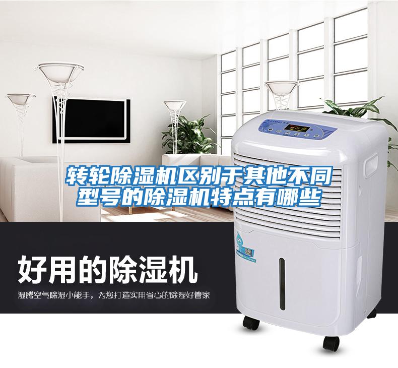 轉輪除濕機區別于其他不同型號的除濕機特點有哪些