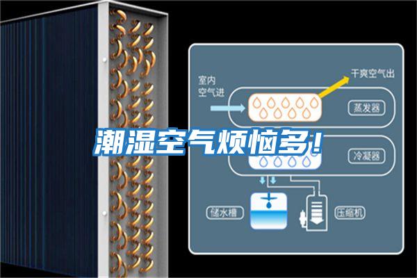 潮濕空氣煩惱多!