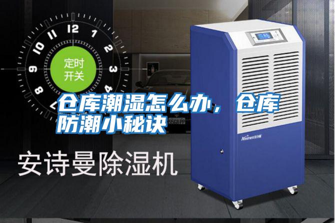 倉庫潮濕怎么辦，倉庫防潮小秘訣