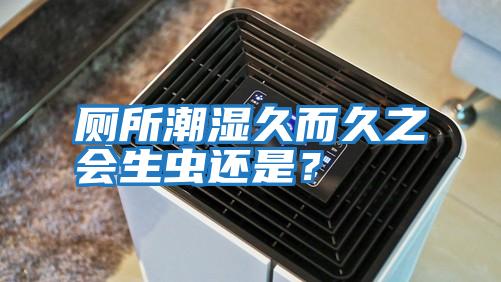 廁所潮濕久而久之會(huì)生蟲(chóng)還是?