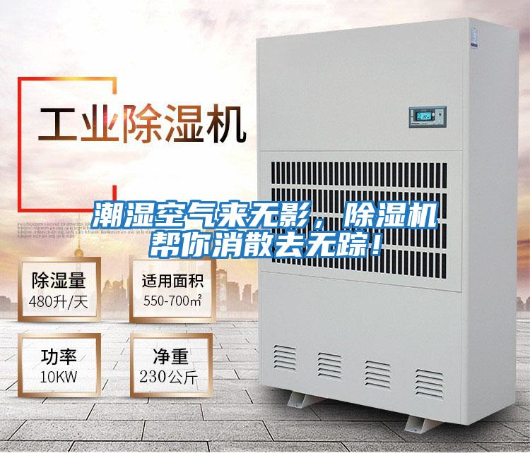 潮濕空氣來無影，除濕機幫你消散去無蹤！