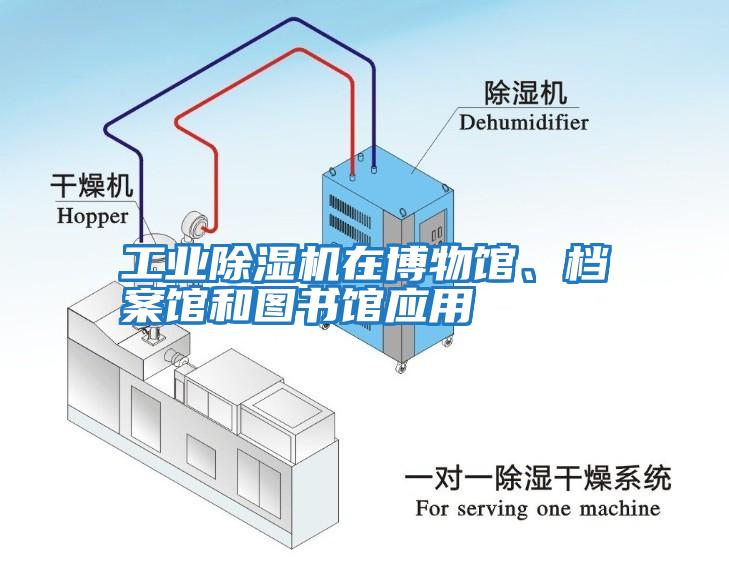 工業(yè)除濕機在博物館、檔案館和圖書館應(yīng)用