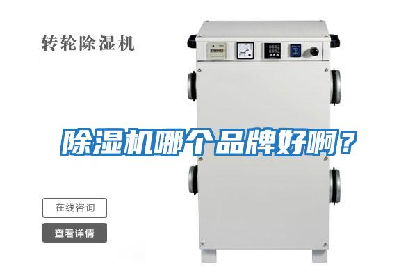 除濕機哪個品牌好啊?