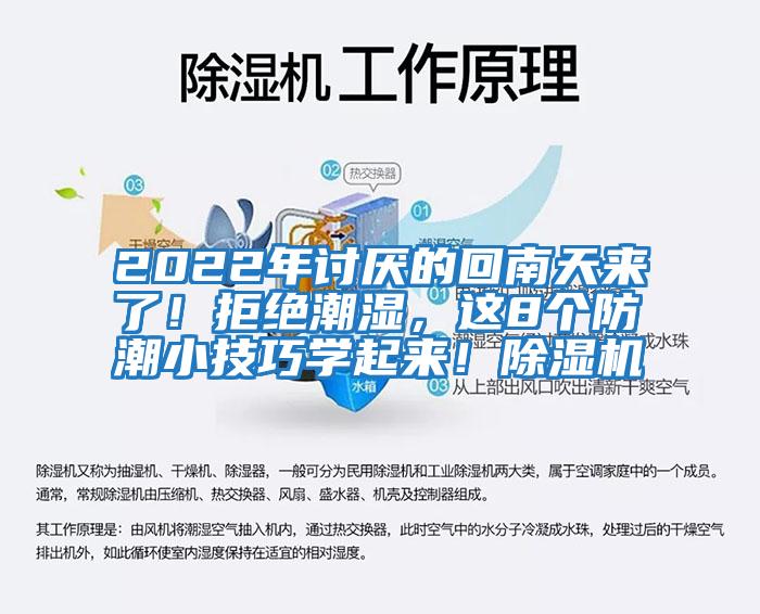 2022年討厭的回南天來了！拒絕潮濕，這8個防潮小技巧學起來！除濕機