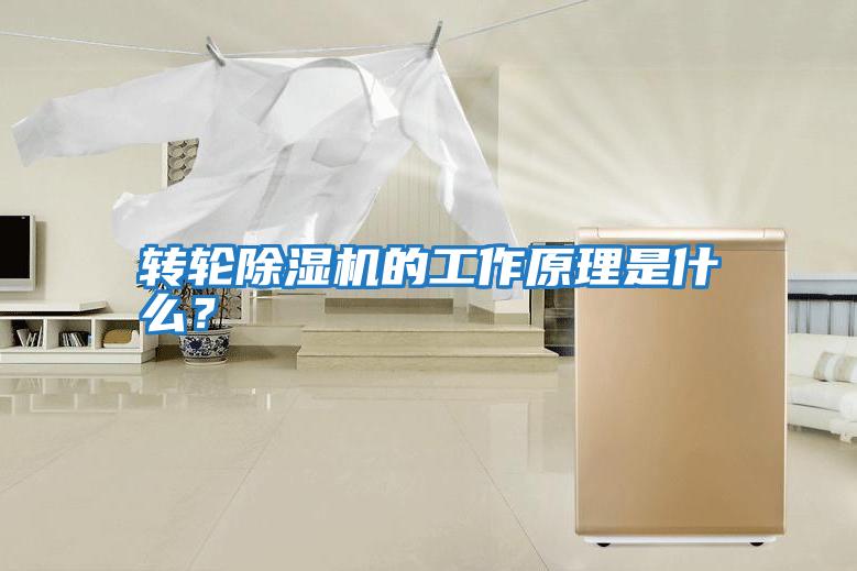 轉輪除濕機的工作原理是什么？