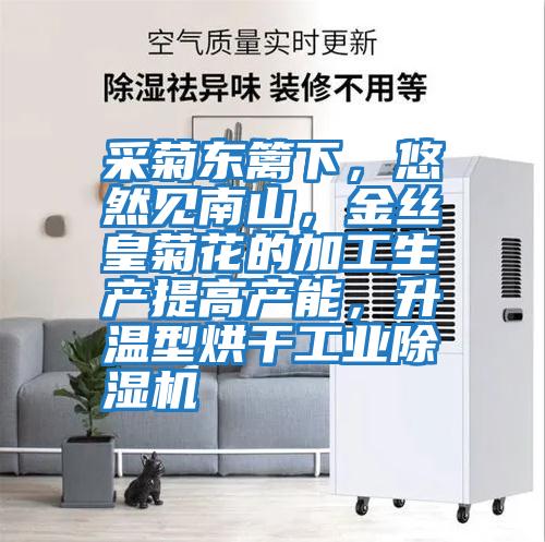 采菊東籬下，悠然見南山，金絲皇菊花的加工生產(chǎn)提高產(chǎn)能，升溫型烘干工業(yè)除濕機