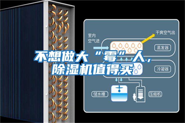 不想做大“霉”人，除濕機值得買