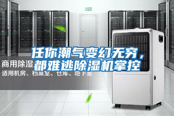 任你潮氣變幻無窮，都難逃除濕機掌控