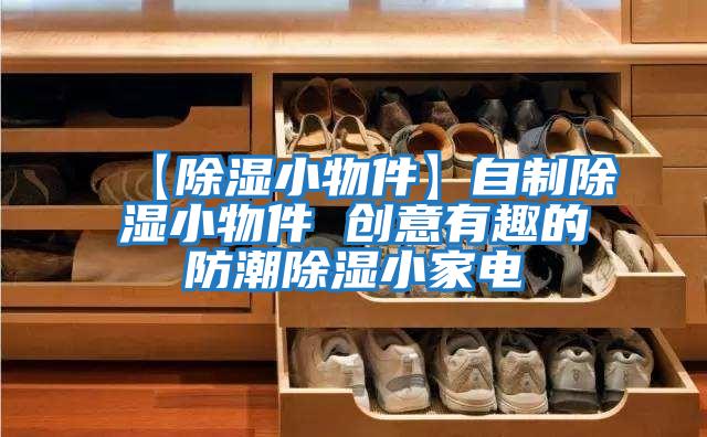 【除濕小物件】自制除濕小物件 創意有趣的防潮除濕小家電