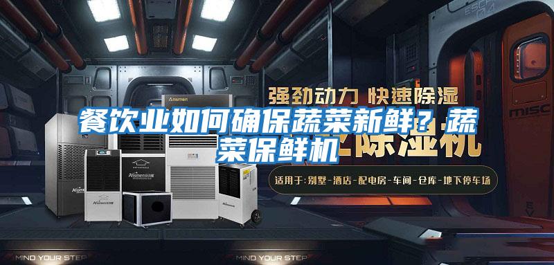 餐飲業(yè)如何確保蔬菜新鮮？蔬菜保鮮機(jī)