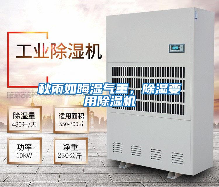 秋雨如晦濕氣重,除濕要用除濕機