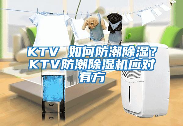 KTV 如何防潮除濕?KTV防潮除濕機應(yīng)對有方