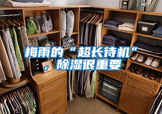 梅雨的“超長待機”,除濕很重要