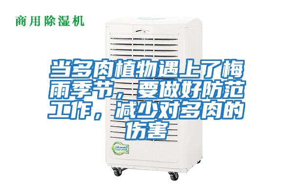 當多肉植物遇上了梅雨季節(jié),要做好防范工作,減少對多肉的傷害