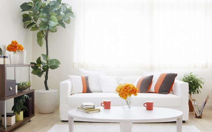 母嬰雙十一除濕機(jī)廣受追捧,買哪個好?