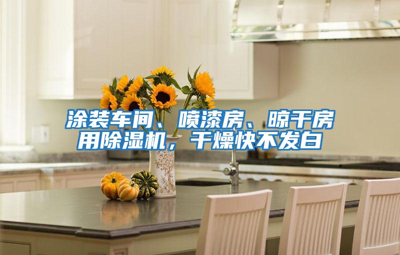 涂裝車間、噴漆房、晾干房用除濕機,干燥快不發(fā)白