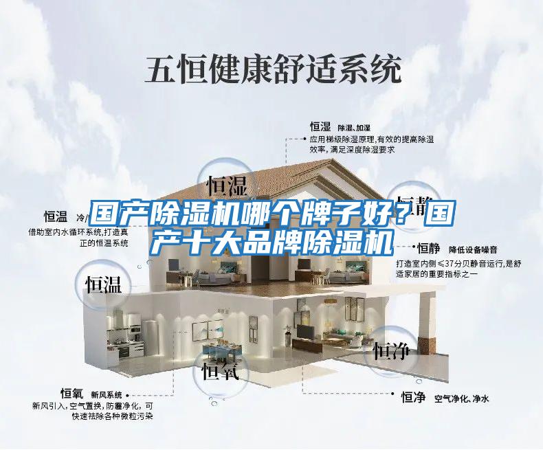 國產(chǎn)除濕機(jī)哪個(gè)牌子好?國產(chǎn)十大品牌除濕機(jī)