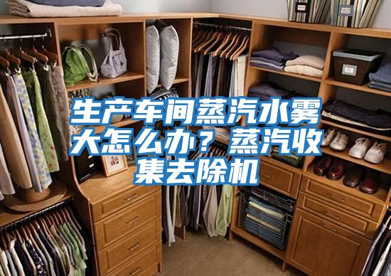 生產車間蒸汽水霧大怎么辦？蒸汽收集去除機