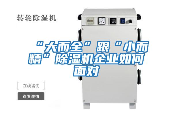 “大而全”跟“小而精”除濕機(jī)企業(yè)如何面對