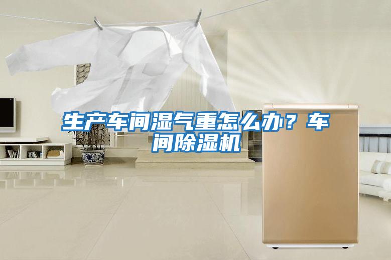 生產(chǎn)車間濕氣重怎么辦?車間除濕機