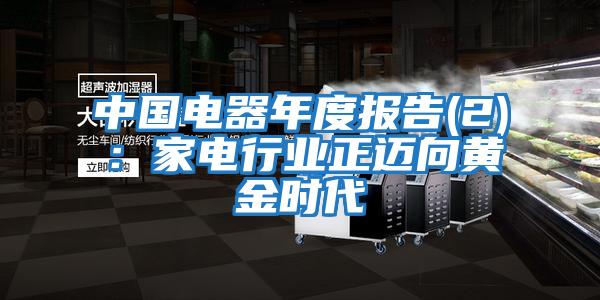 中國電器年度報告(2):家電行業正邁向黃金時代