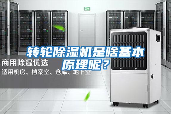 轉輪除濕機是啥基本原理呢?