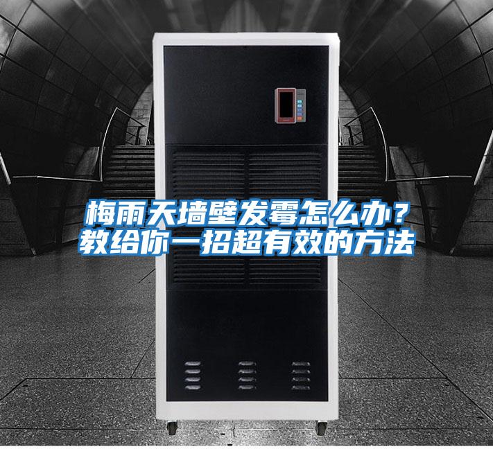 梅雨天墻壁發霉怎么辦？教給你一招超有效的方法