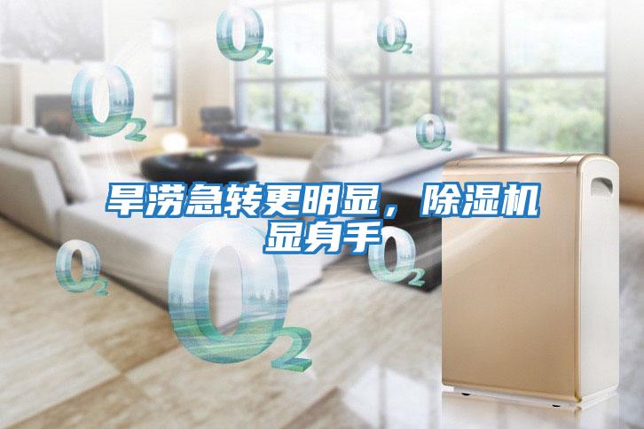 旱澇急轉(zhuǎn)更明顯,除濕機顯身手