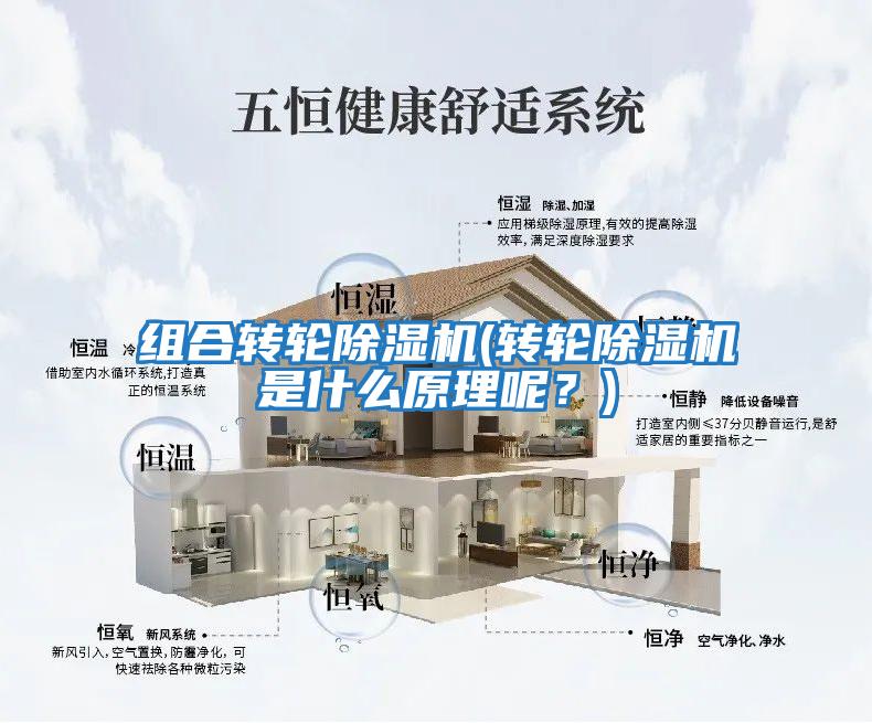 組合轉輪除濕機(轉輪除濕機是什么原理呢？)
