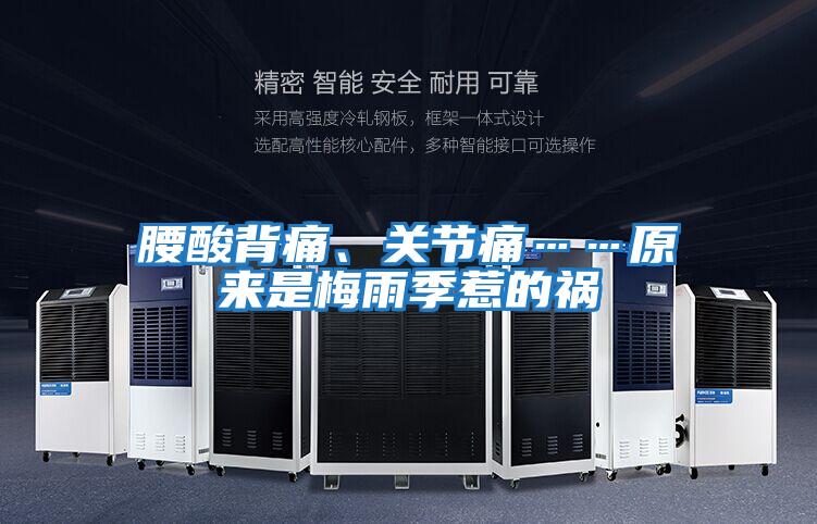 腰酸背痛、關節痛……原來是梅雨季惹的禍